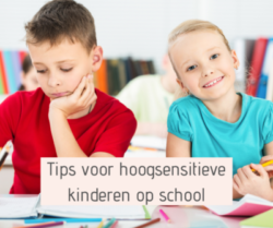 In dit blog deel ik tips voor ouders, meesters en juffen. Hoe kan je een hoogsensitief kind ondersetunen in de klas? Zodat het zich weer fijn voelt en goed kan concentreren op school?